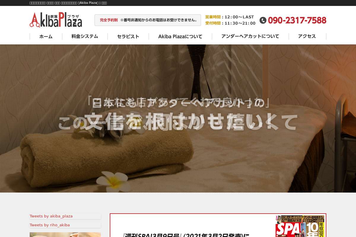 Akiba Plaza〜秋葉プラザ